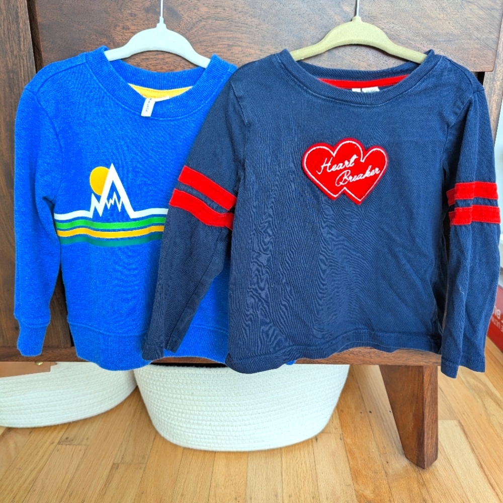 Set of 2 cute 2T Janie and Jack long sleeve tops